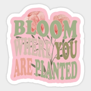 Bloom Where You Are Planted Plant Mom quotes Sticker